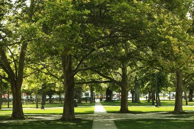 Pioneer Park in Salt Lake City is pictured on Wednesday, Aug. 1, 2018. The city will install a large lawn in the south-central portion of the park that will include a surrounding walkway, sports field and sports lighting. The construction will allow for e