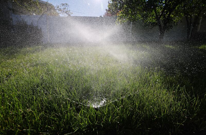 A green lawn with sprinklers spraying water into the air and onto the grass.