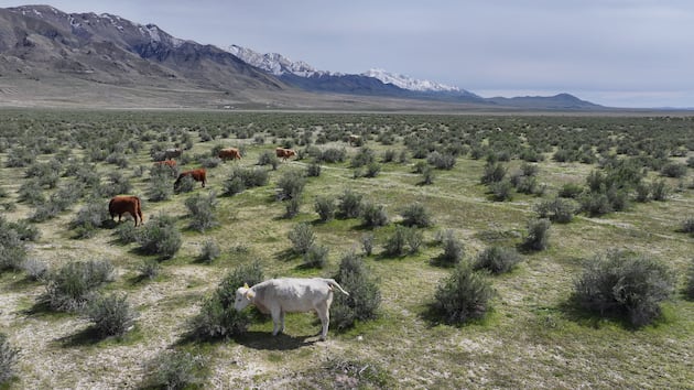 Opinion: Thanks to Utah, Americans are about to lose their public lands