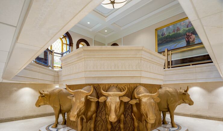 The oxen of the font base in the baptistry of the Deseret Peak Utah Temple.
