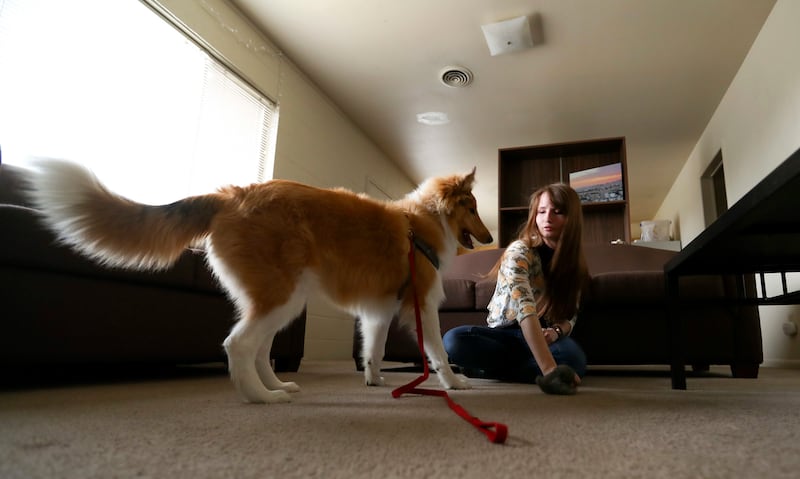 Tiffany Thayne, 25, plays with her emotional support dog Dusty in her apartment in Provo on Wednesday, March 13, 2019. Thayne is training Dusty, a Collie puppy.