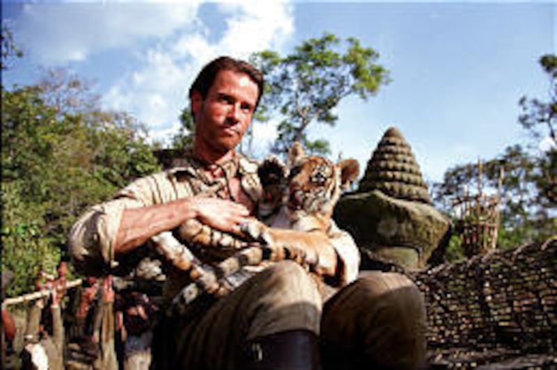 Fortune hunter Aidan McRory (Guy Pearce) finds tiger cub Kumal while looting an Asian temple in the family-oriented drama "Two Brothers."