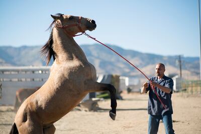 Matthias Schoenaerts appears in "The Mustang" by Laure de Clermont-Tonnerre, an official selection of the Premieres program at the 2019 Sundance Film Festival.