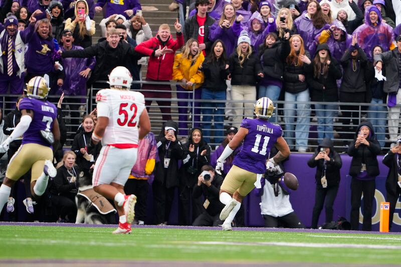 Washington linebacker Alphonzo Tuputala (11) fumbles his interception at the goal line by celebrating early as Utah offensive lineman Michael Mokofisi (52) looks on during the second half of an NCAA college football game Saturday, Nov. 11, 2023, in Seattle. (AP Photo/Lindsey Wasson)