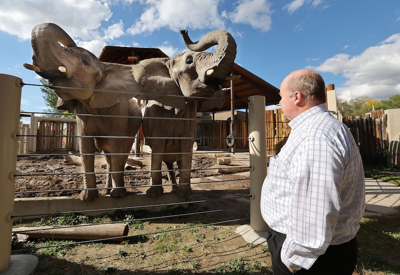 Hogle Zoo president Doug Lund looks over elephant mother Christie and daughter Zuri at the zoo in Salt Lake City on Oct. 13, 2023.