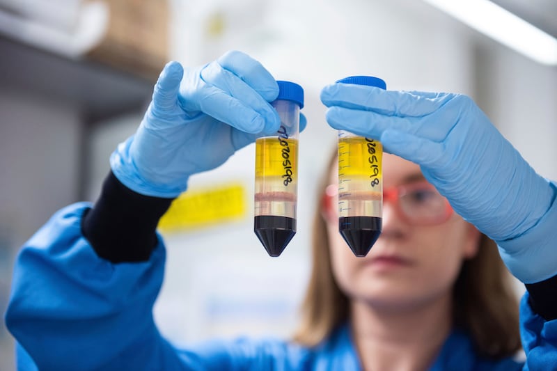In this undated file photo issued by the University of Oxford, a researcher in a laboratory at the Jenner Institute in Oxford, England, works on the coronavirus vaccine developed by AstraZeneca and Oxford University. Britain on Wednesday, Dec. 30, authorized use of a second COVID-19 vaccine, becoming the first country to greenlight an easy-to-handle shot that its developers hope will become the “vaccine for the world.”