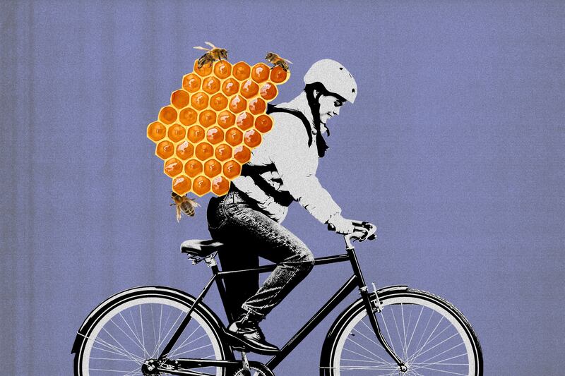 Photo of someone on a bike.