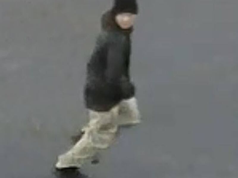 Police are asking for the public's help in finding an alleged gunman who shot and killed a man in his car Wednesday, Oct. 25, 2017, near 4500 South State. Nearby businesses are asked to check their surveillance video for images of the alleged gunman and v