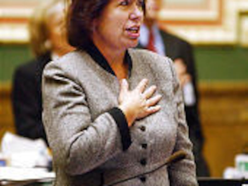 Rep. Kathy Bryson recites the Pledge of Allegiance Friday, as lawmakers do each day during their legislative session.