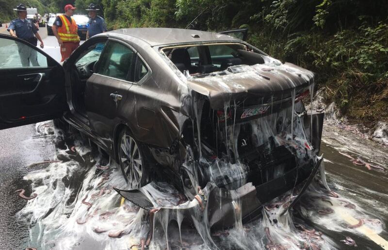 A multiple car crash on U.S. 101 in Oregon looks like “a scene straight out of your nightmares.'
