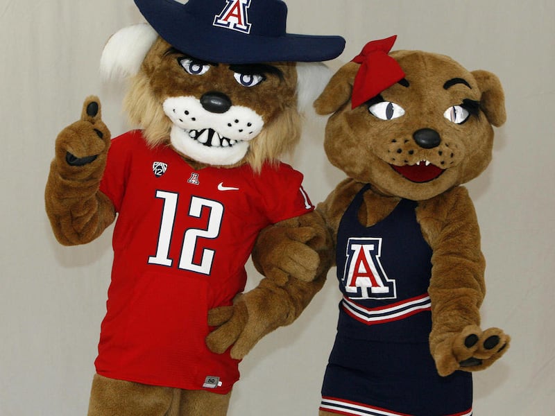 Wilbur and Wilma, the University of Arizona mascots, show their new football outfits during a photo session with University of Arizona athletic department on Aug. 9, 2012. The Arizona Wildcats' mascot since 1959, Wilbur the Wildcat, was showing off his n