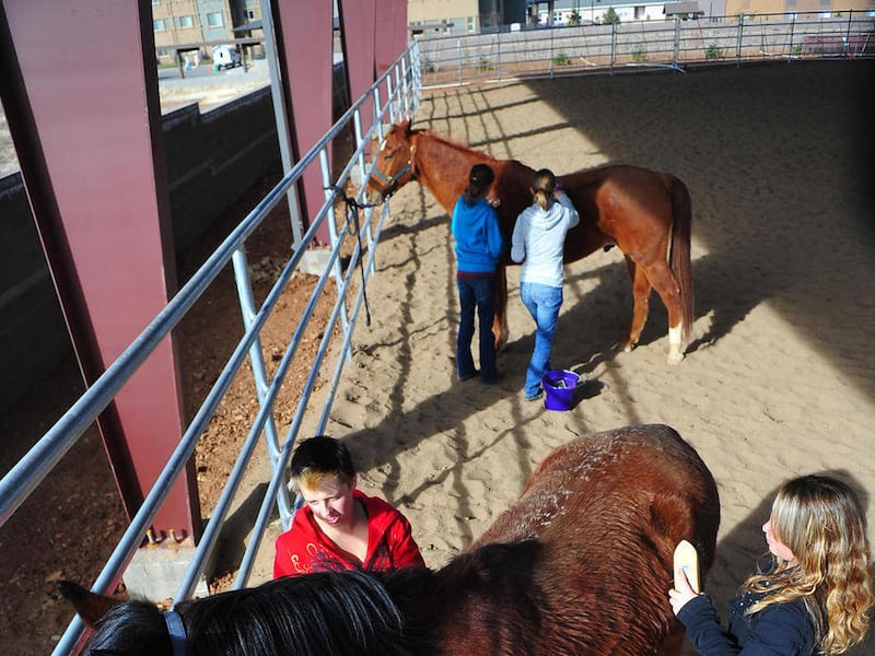 Ariz. school starts equine, agriculture classes Deseret News
