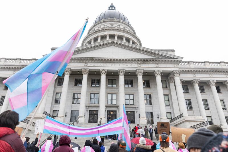Demonstrators are seen on the steps of the Capitol protesting in opposition to HB257 in Salt Lake City on Jan. 25, 2024.