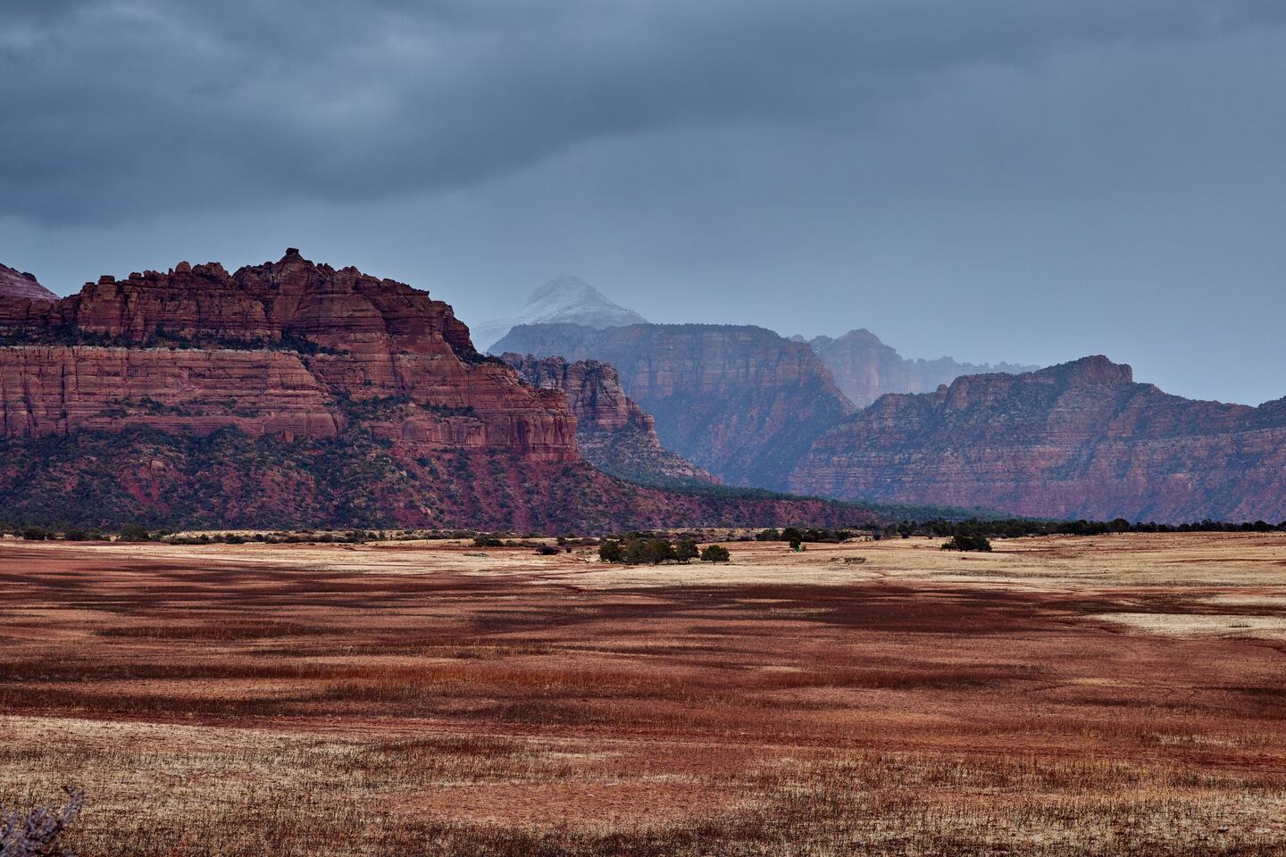 How the Wright family uses rodeo and tourism to keep their Utah ranch ...