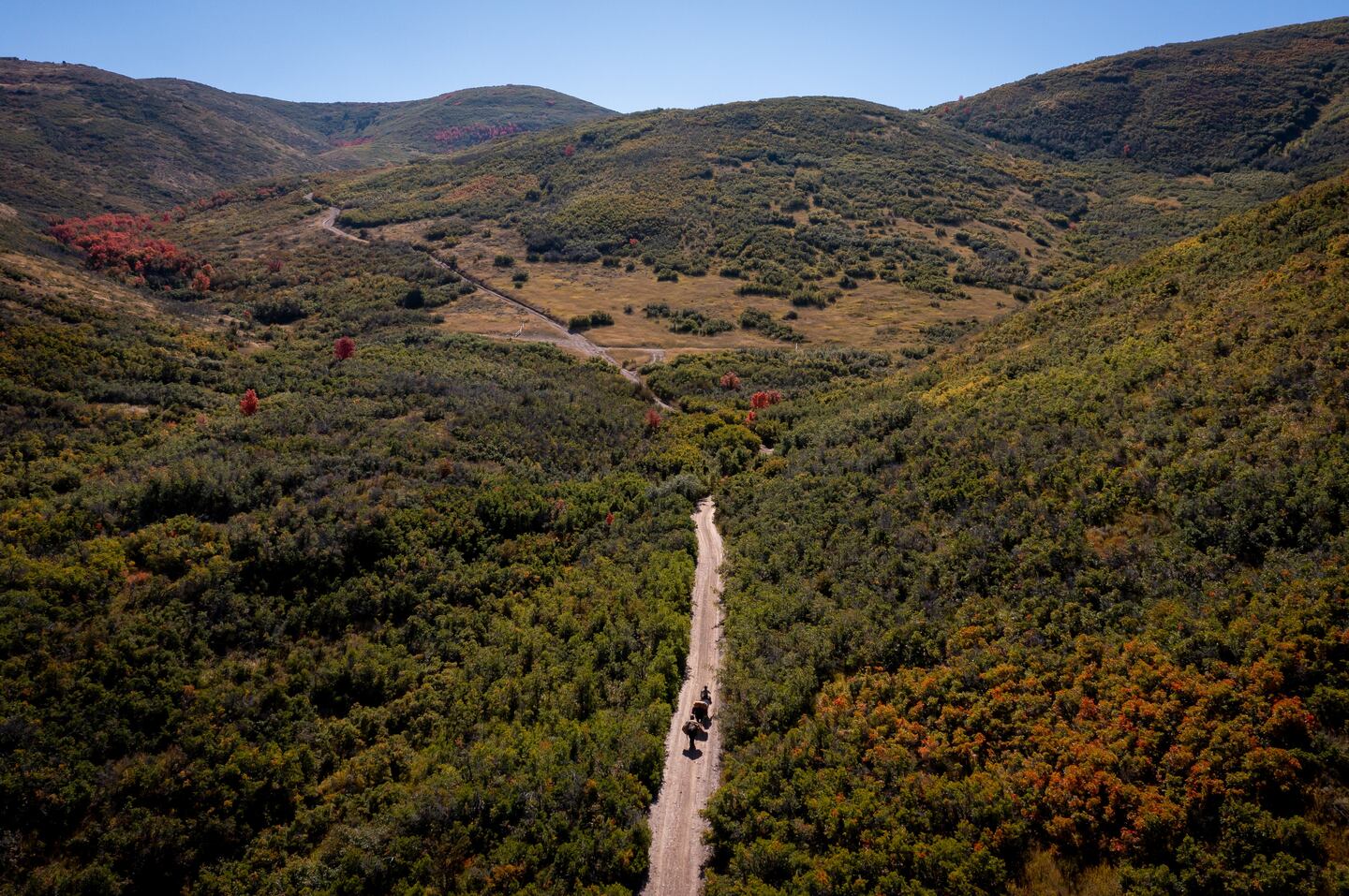 Why this Utah horseman is riding 3 mustangs across the U.S. and back ...