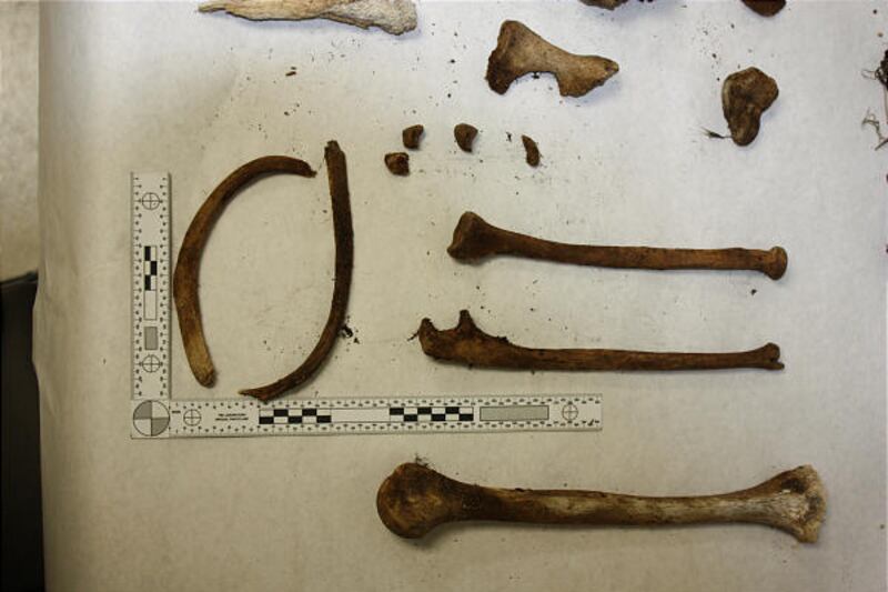 Photo is of human remains found Mar. 2, 2010 by hikers in the Millcreek Canyon area. Bones may have been there over 10 years.