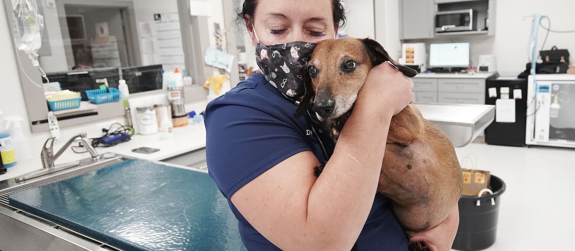 Dr. Kara Tassone, Mountain West Veterinary Specialists, hugs a dachshund at the clinic in Layton on Friday, Nov. 5, 2021.