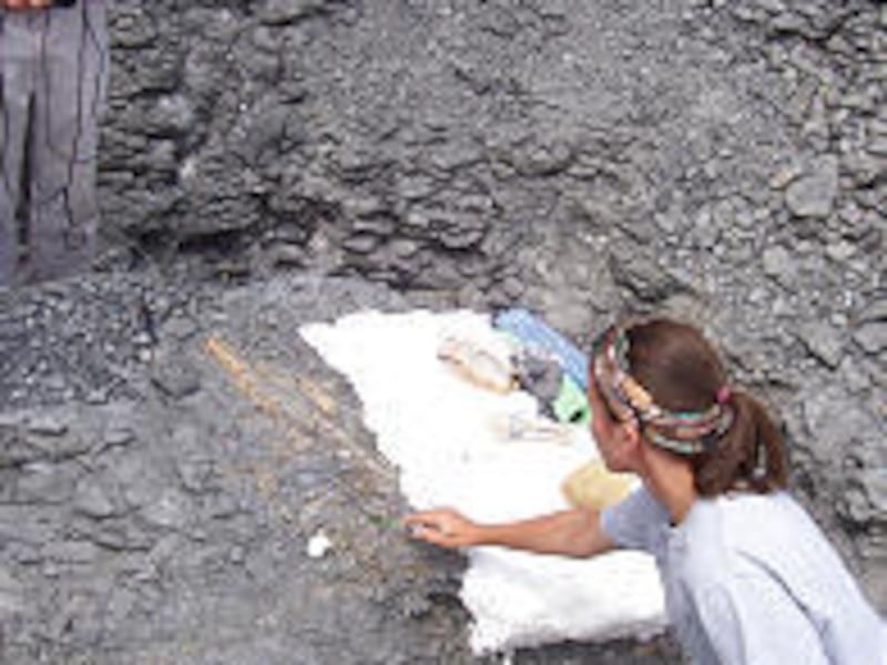 Becky Schmeisser, a graduate student in paleontology, points out features of the plesiosaur fossil find.