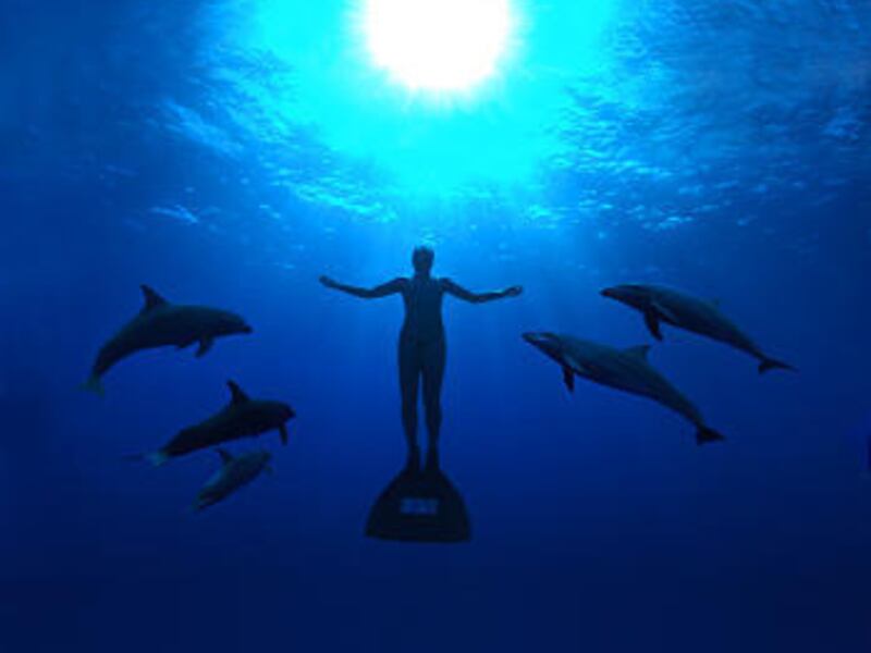 Mandy-Rae Cruickshank in "The Cove," a disturbing documentary.
