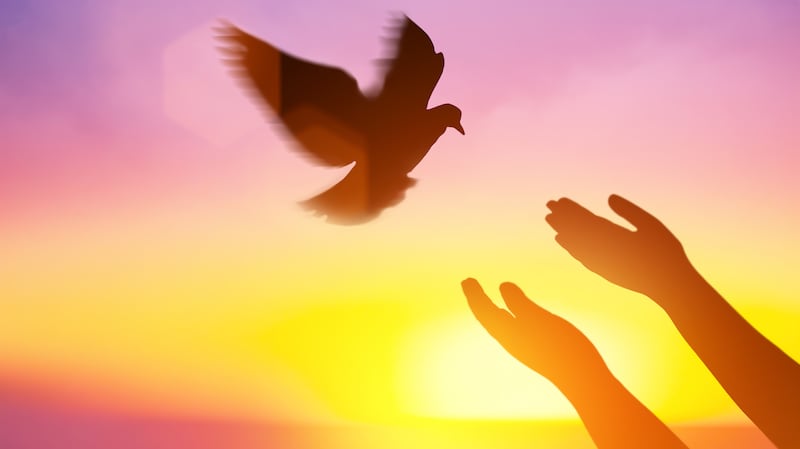 Funding critical programs can help foster peace.