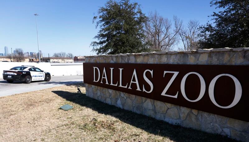 A Dallas police vehicle sit at an entrance at the Dallas Zoo.