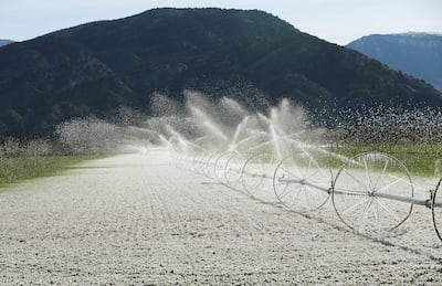 FILE - Irrigation sprinklers water a field in freezing conditions in Levan on Wednesday, March 29, 2017.