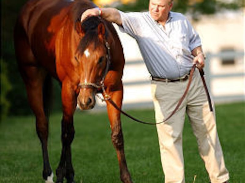 Trainer Tim Ritchey walks his horse, Afleet Alex, around a field. The celebrated colt won both the Belmont Stakes and the Preakness.