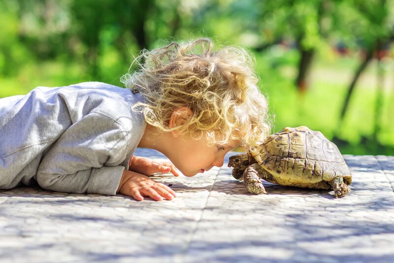 The CDC warned adults to tell their kids not to cuddle or kiss the small reptiles because it can lead to illness.