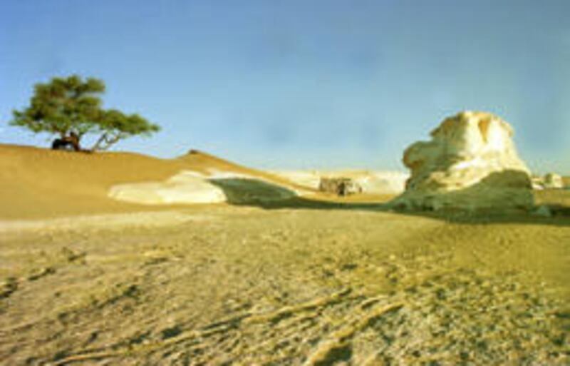 The Egyptian White Desert in Qasr al-Farafra oasis is marked by a solitary tree on a sand dune and one of the thousands of colossal chalk structures that stretch across the desert.