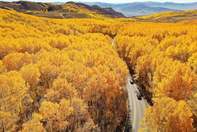 Motorists drive through colorful fall leaves near Guardsman Pass in Big Cottonwood Canyon on Oct. 14, 2022.