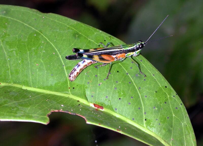 Some nonbelievers suggest that they live more fully in this world than do those who expect another. There is little or no evidence for this, however, and deliberate failure to prepare for the future is generally unwise.