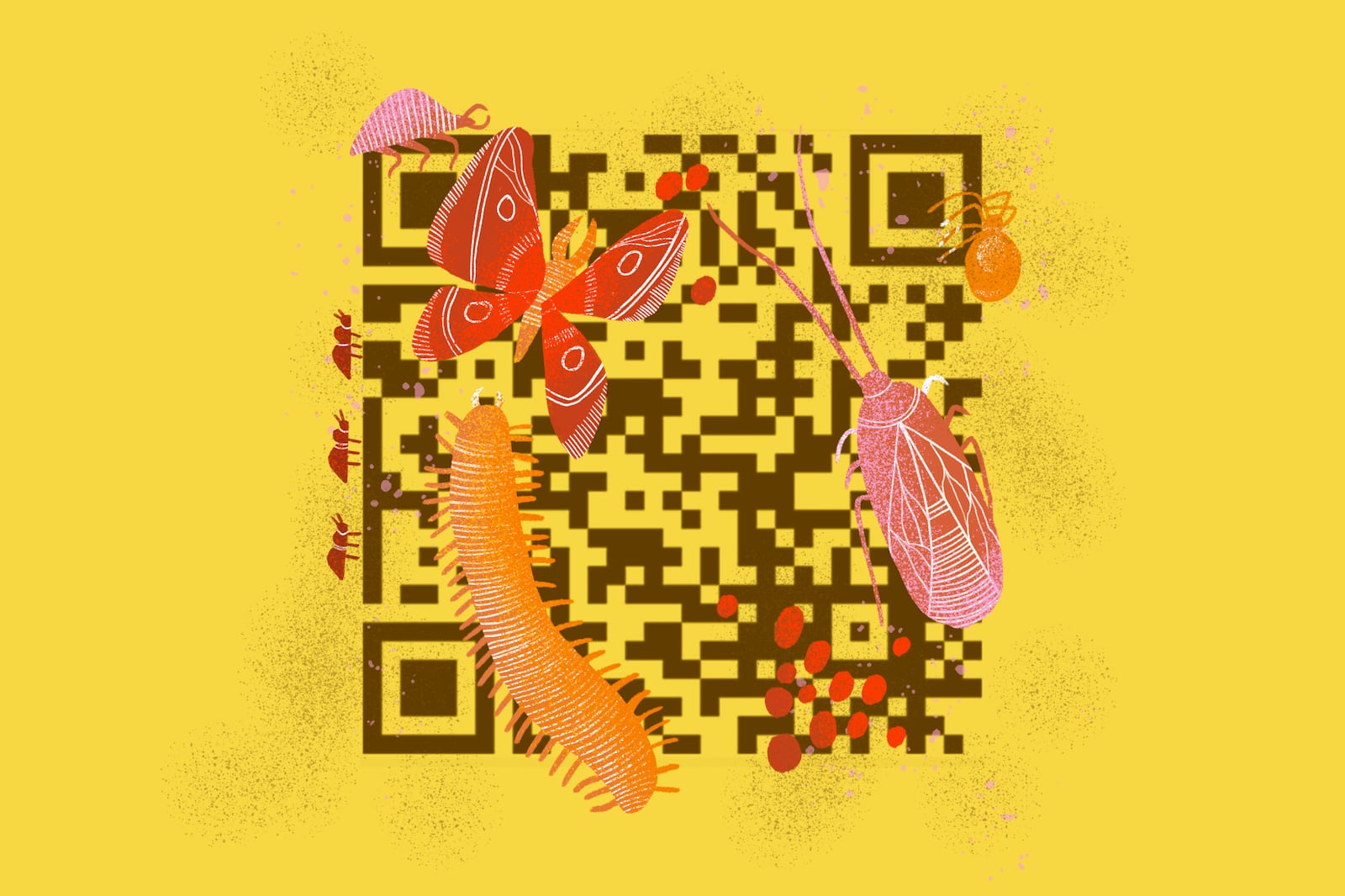 An illustration of a QR code.