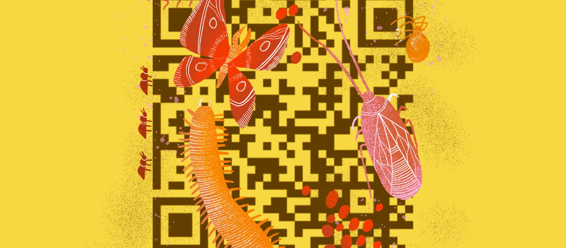 An illustration of a QR code.
