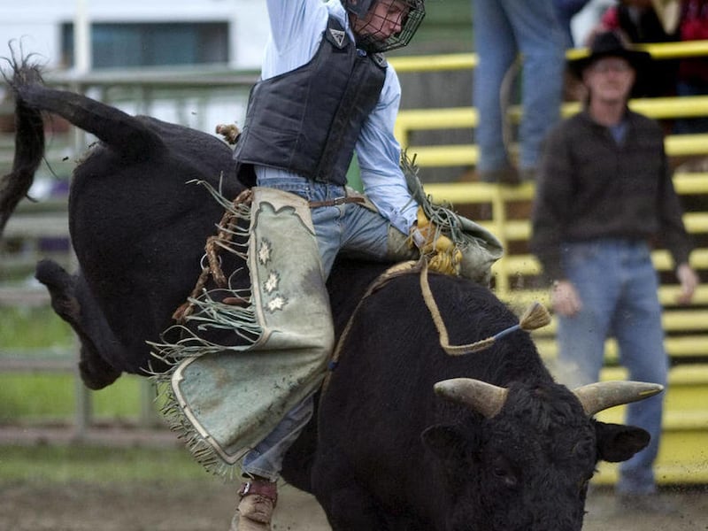 In this July 2009 file photo, Colten Jensen rides Grim Reaper during a rodeo in Soldotna, Alaska. Jensen, who will be competing in his first national collegiate bull riding finals in June, hosted a bull riding clinic for youngsters on May 23, 2011.