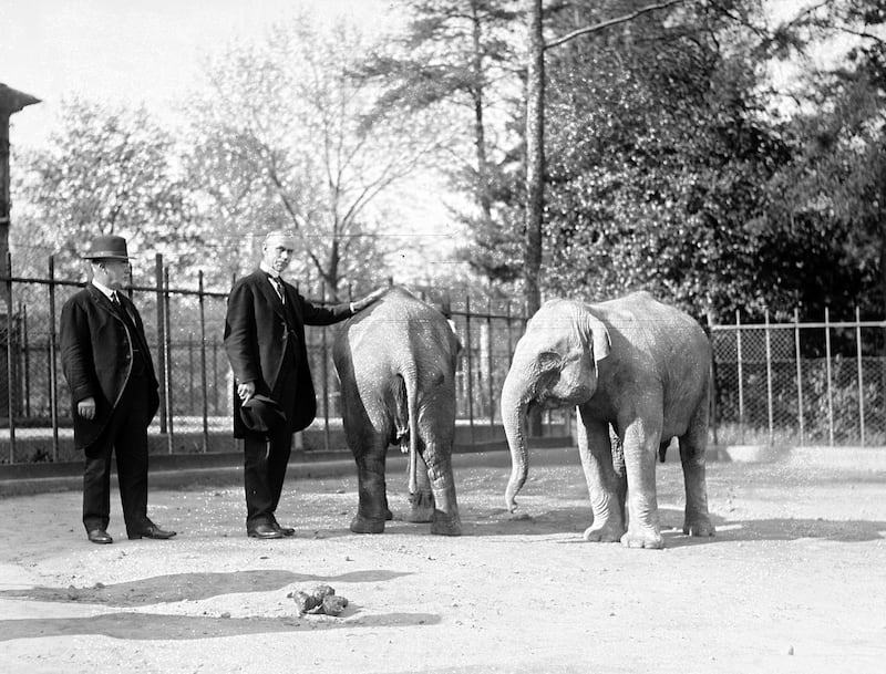 Sen. Reed Smoot, R-Utah, patting the symbol of the Republican Party, joined by former Utah Gov. William Spry at the Washington, D.C. Zoo.