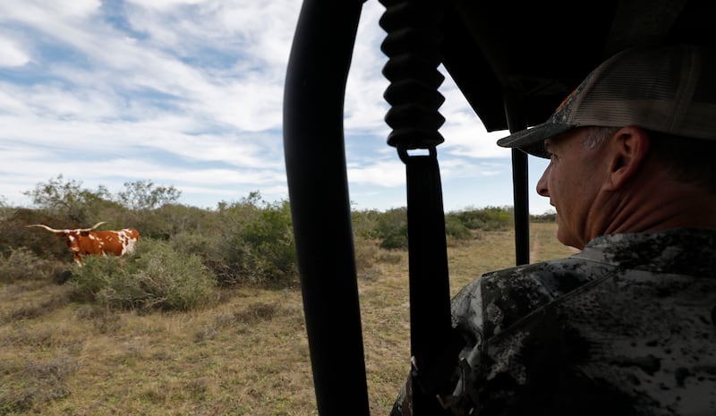 Ty Detmer, BYU’s former offensive coordinator and quarterback coach, drives around his T14 Ranch Thursday, Nov. 15, 2018, near Freer, Texas.