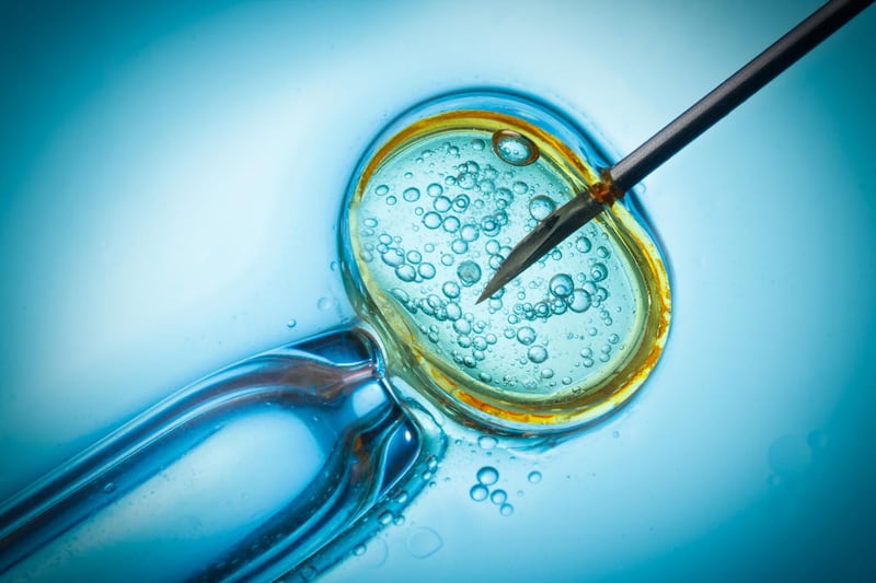 Pictured: In vitro fertilization. In mitochondrial gene therapy, a process that some scientists say is similar to in vitro fertilization, the mitochondrial DNA in an egg can be replaced with that of another woman.