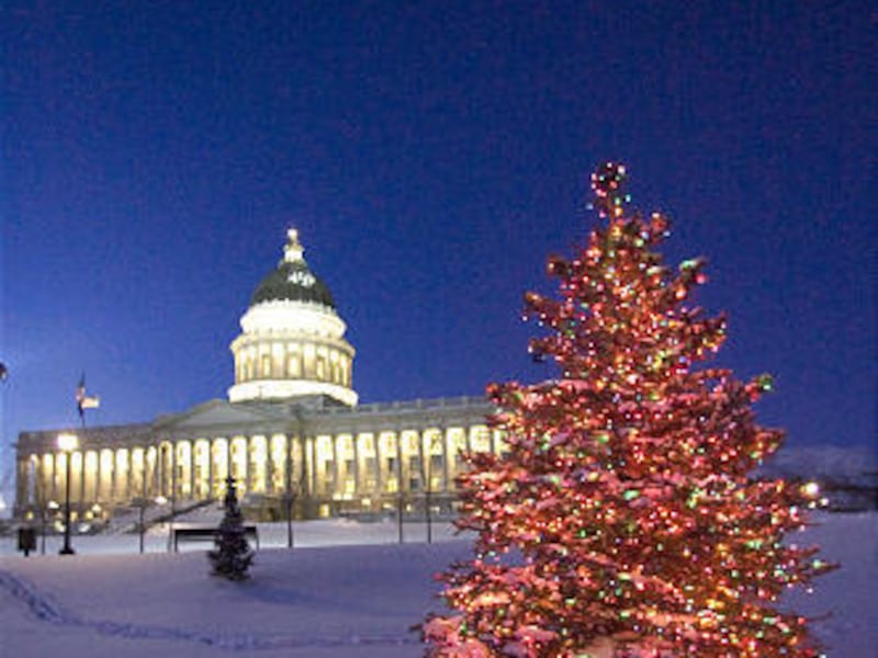 The state Christmas tree glows at the southeast corner of the Capitol grounds in Salt Lake Tuesday.