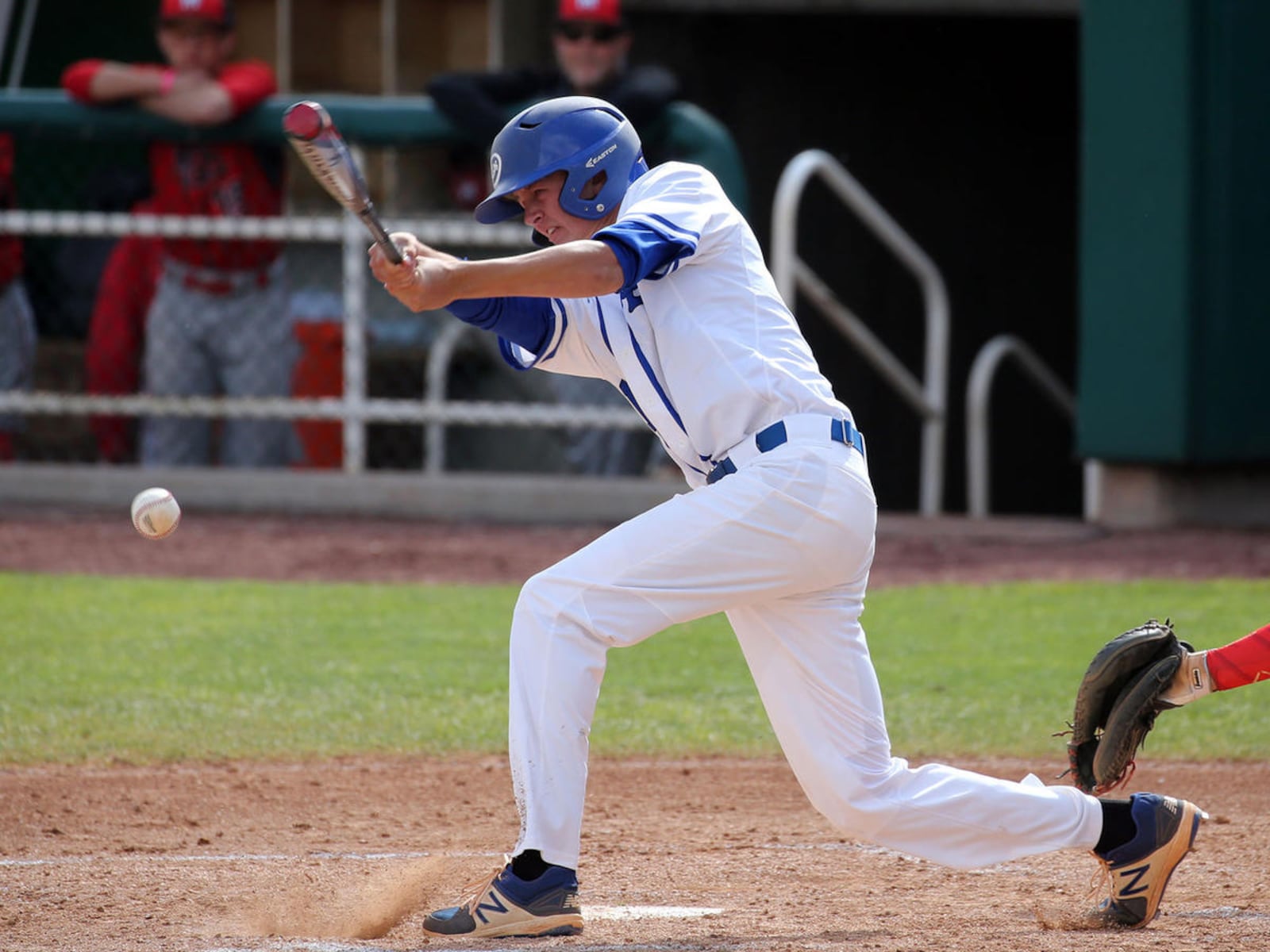 3A baseball tournament: Dixie eclipses Park City 19-1 in final round of ...