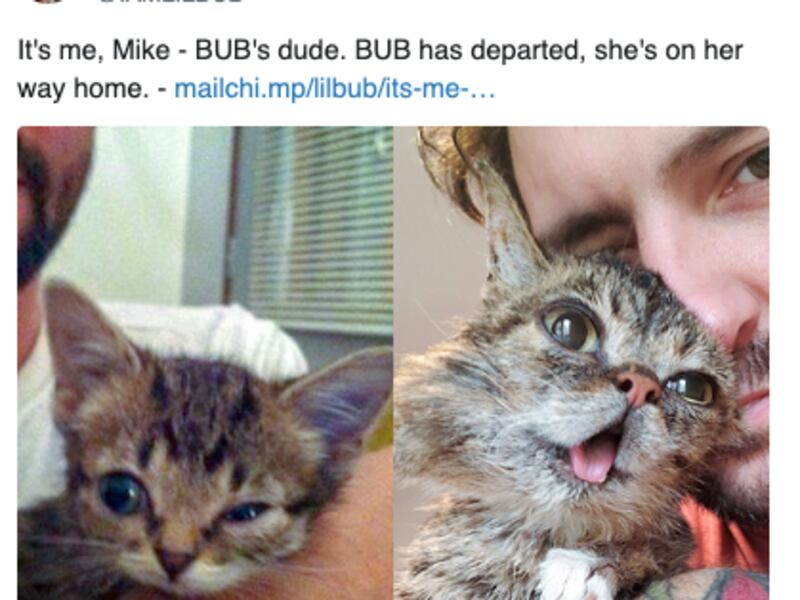 The famous internet cat, who had birth defects that skyrocketed her into internet fame, died on Sunday night.