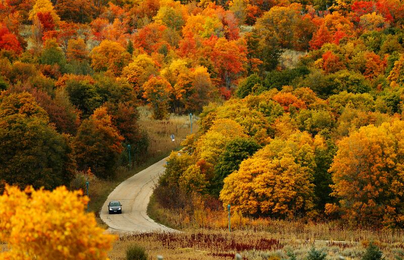 A motorist drives through the fall leaves near Sherwood Hills in Sardine Canyon in northern Utah on Sunday, Oct. 1, 2017.