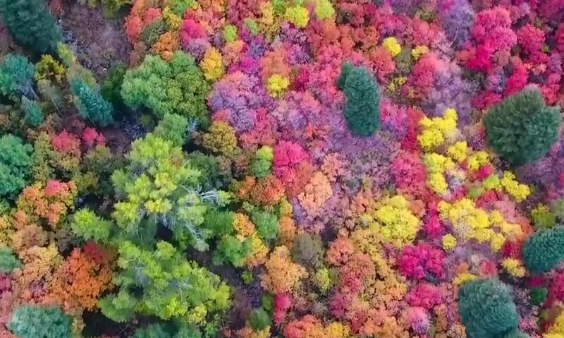 A new video of Ogden Valley has gained national attention for its beautiful colors.