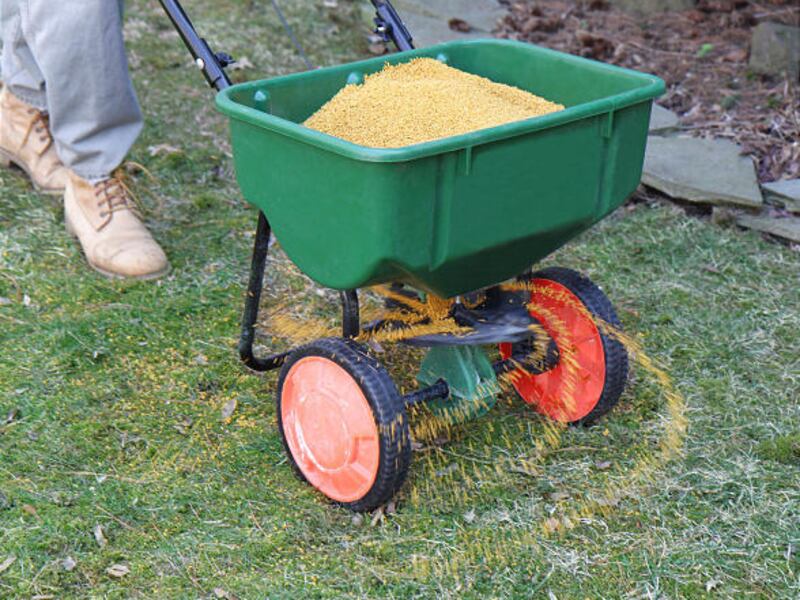 Timing is everything when it comes to applying corn gluten meal on your lawn.