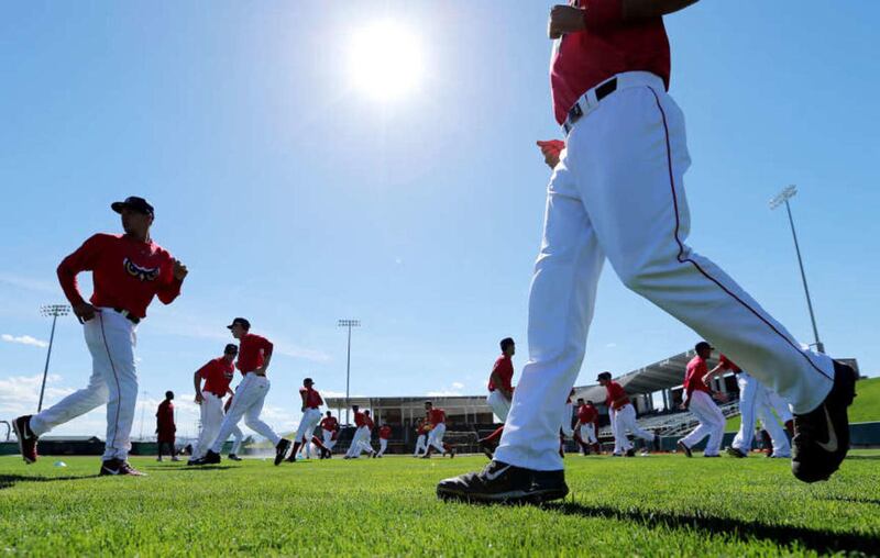 Orem Owlz players get ready for a workout during media day Saturday, June 14, 2014, at Brent Brown ball field.