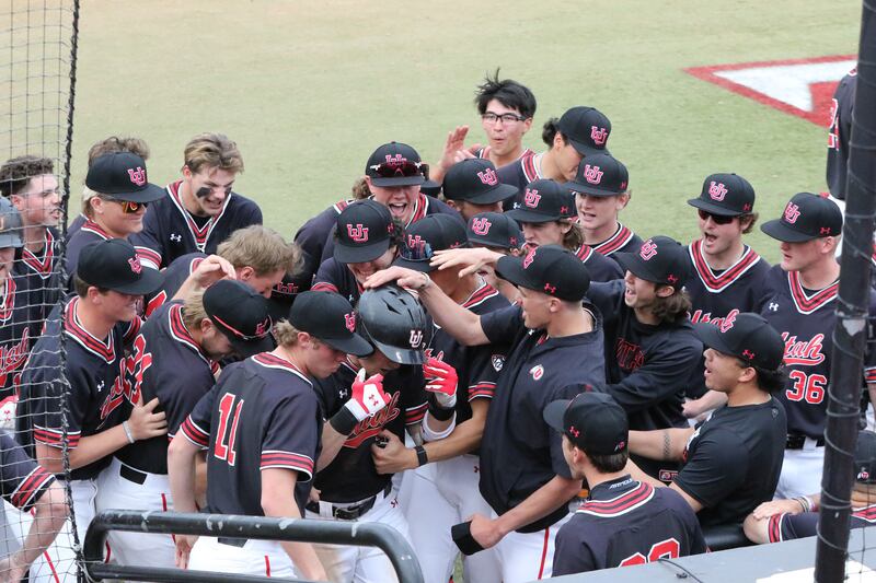Utah players congratulates Drake Digiorno on a home run during the Utes' win over Loyola Marymount on Feb. 24, 2024.