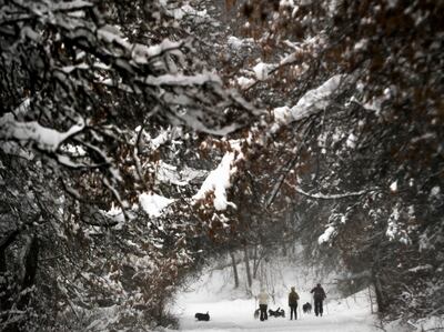 Cross-country skiers and their dogs enjoy the snowfall in Millcreek Canyon in Salt Lake City on Monday, Jan. 7, 2019.
