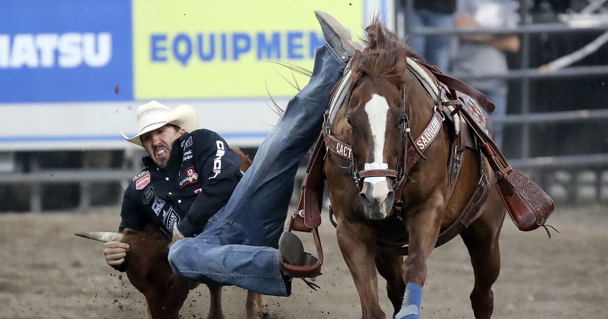 Photo gallery: See the action from Day 3 of the Days of '47 rodeo ...