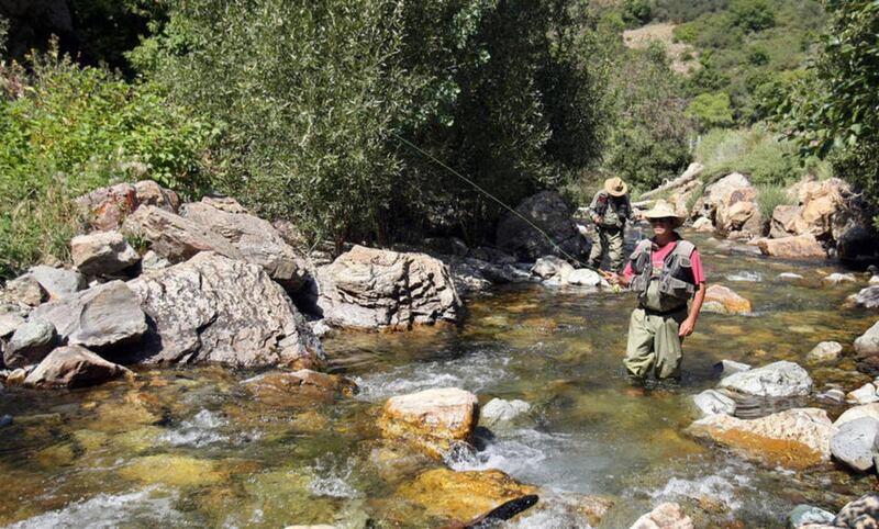 FILE — ob Beers fly fishes for small rainbow trout with his father Gary in Big Cottonwood Canyon in this file photo from Sept. 4, 2009. A new report praises Salt Lake City for its efforts to protect critical water resources in the nearby Wasatch Mountains
