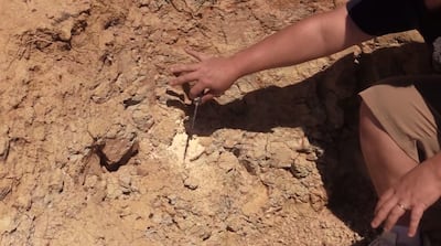 David Rankin, of Big Water, Kane County, points to where he noticed a mammoth tooth two years ago near Lake Powell. "The tooth was very eroded so it took me a minute to figure out what I was looking at," Rankin said. "But once it dawned on me, it was a ve