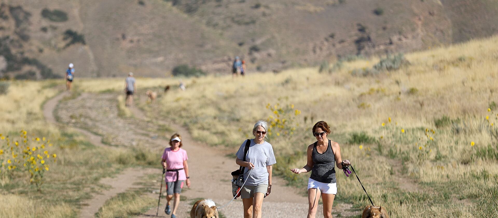 Mahala Kephart and Kelly Goff walk Ding and Queenie on the Bonneville Shoreline Access Trail in Salt Lake City.